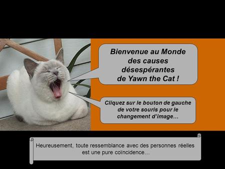 Bienvenue au Monde des causes désespérantes de Yawn the Cat ! Cliquez sur le bouton de gauche de votre souris pour le changement d’image… Heureusement,