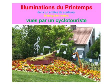 Illuminations du Printemps dans un artifice de couleurs, le long des routes, vues par un cyclotouriste.