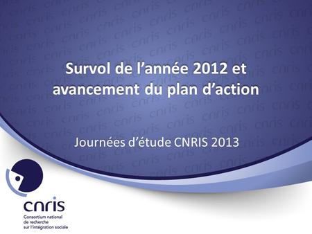 Survol de l’année 2012 et avancement du plan d’action Journées d’étude CNRIS 2013.