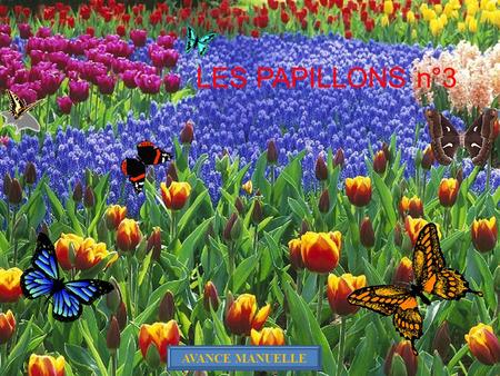 LES PAPILLONS n°3 AVANCE MANUELLE Glaucopsyche arion EUROPE et RUSSIE.