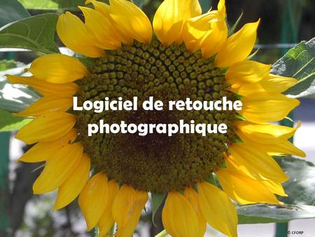 Logiciel de retouche photographique © CFORP. Un logiciel de retouche photographique est grandement utile pour retoucher et transformer des photographies.