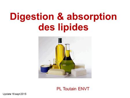 Digestion & absorption des lipides