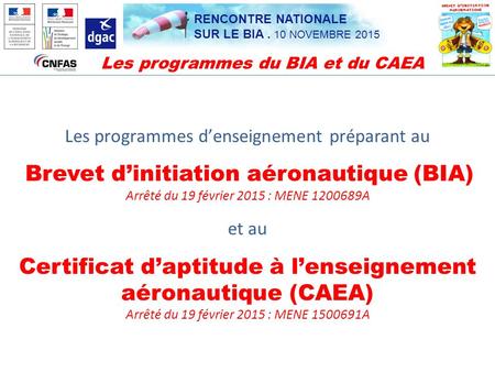 Certificat d’aptitude à l’enseignement aéronautique (CAEA)