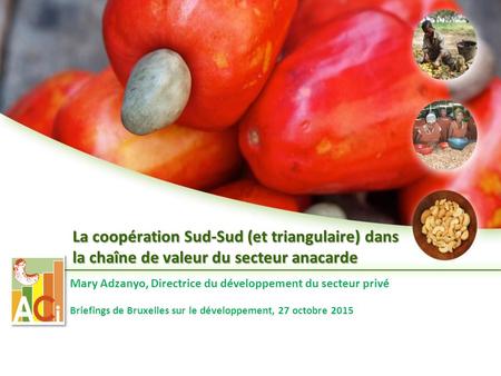 La coopération Sud-Sud (et triangulaire) dans la chaîne de valeur du secteur anacarde Mary Adzanyo, Directrice du développement du secteur privé Briefings.