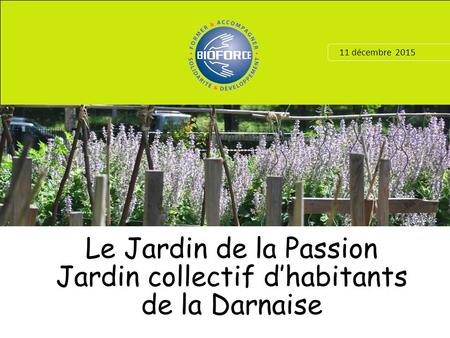 11 décembre 2015 Le Jardin de la Passion Jardin collectif d’habitants de la Darnaise.