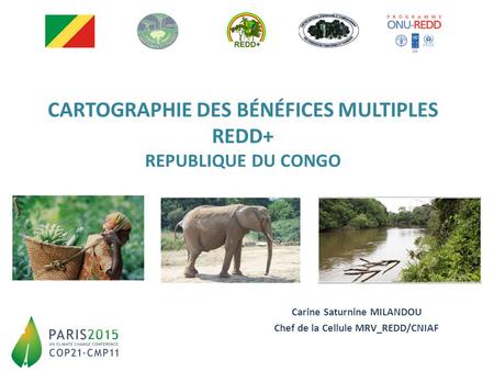 CARTOGRAPHIE DES BÉNÉFICES MULTIPLES REDD+ REPUBLIQUE DU CONGO