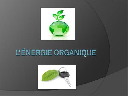 L’énergie organique.