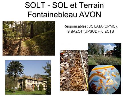 SOLT - SOL et Terrain Fontainebleau AVON