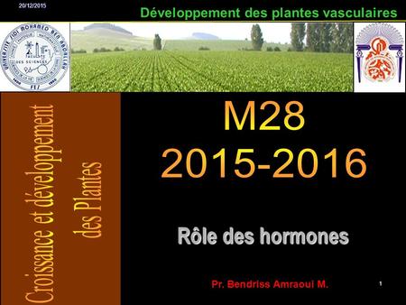 Rôle des hormones Développement des plantes vasculaires M