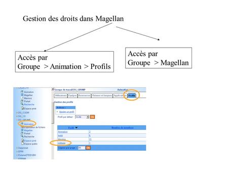 Gestion des droits dans Magellan Accès par Groupe > Animation > Profils Accès par Groupe > Magellan.
