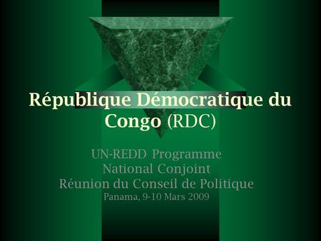 République Démocratique du Congo (RDC) UN-REDD Programme National Conjoint Réunion du Conseil de Politique Panama, 9-10 Mars 2009.