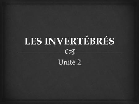 LES INVERTÉBRÉS Unité 2.
