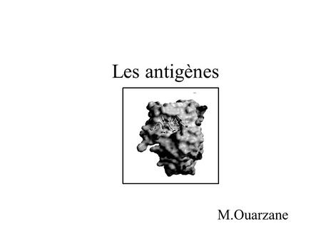 Les antigènes M.Ouarzane.