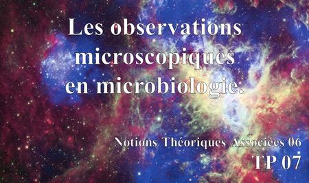 Les observations microscopiques en microbiologie.