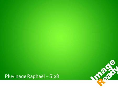 Pluvinage Raphaël – Si28. Pour quoi faire? / / Logiciel de graphisme orienté vers le web, dérivé de Photoshop (Même Interface) / Utilisation : Optimisation.