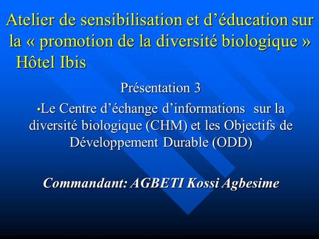 Atelier de sensibilisation et d’éducation sur la « promotion de la diversité biologique » Hôtel Ibis Présentation 3 Le Centre d’échange d’informations.