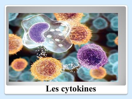 Les cytokines.