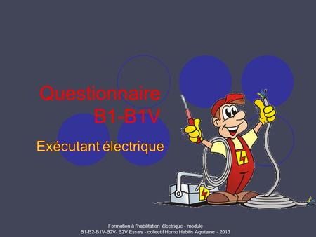 Questionnaire B1-B1V Exécutant électrique.