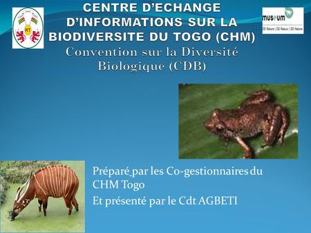 Préparé par les Co-gestionnaires du CHM Togo Et présenté par le Cdt AGBETI.