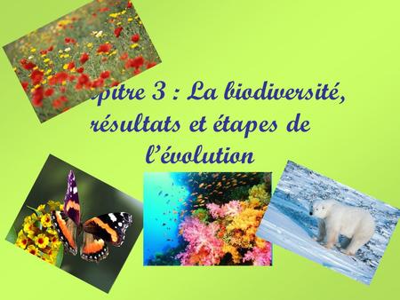 Chapitre 3 : La biodiversité, résultats et étapes de l’évolution