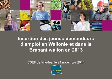 DATE Insertion des jeunes demandeurs d’emploi en Wallonie et dans le Brabant wallon en 2013 CSEF de Nivelles, le 24 novembre 2014.