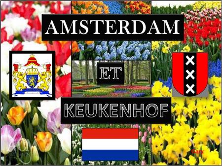 Gary Amsterdam est la capitale des Pays-Bas (bien que le siège du gouvernement se trouve à La Haye) et la plus grande ville de la province de Hollande.
