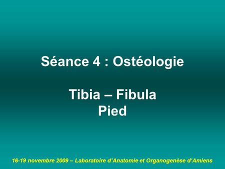 Séance 4 : Ostéologie Tibia – Fibula Pied