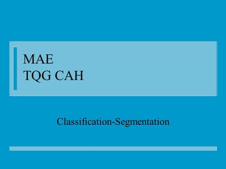 Classification-Segmentation