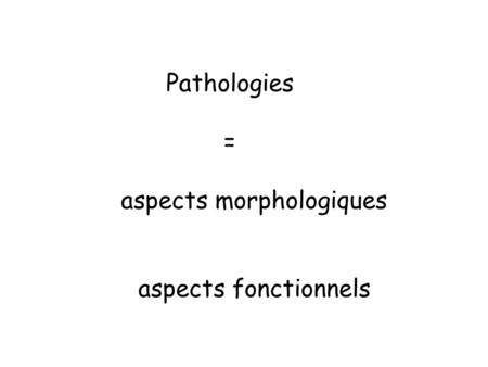 aspects morphologiques