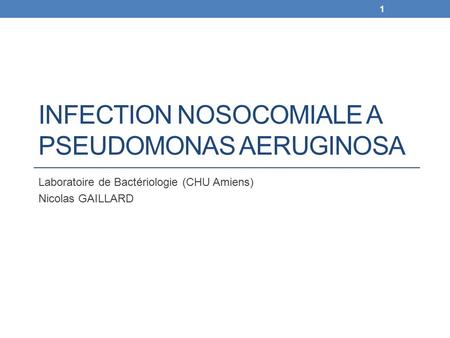 Infection nosocomiale a Pseudomonas aeruginosa
