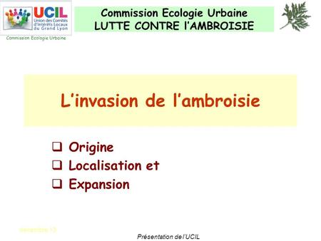 Commission Ecologie Urbaine LUTTE CONTRE l’AMBROISIE Commission Ecologie Urbaine décembre 13 Présentation de l’UCIL L’invasion de l’ambroisie  Origine.
