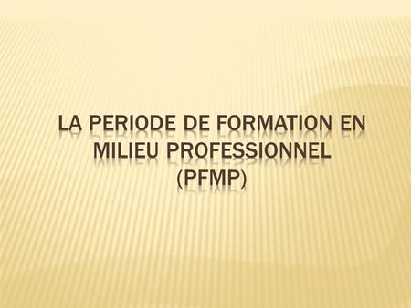 LA PERIODE DE FORMATION EN MILIEU PROFESSIONNEL