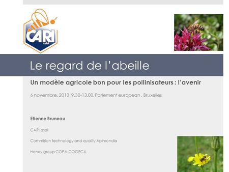 Le regard de l’abeille Un modèle agricole bon pour les pollinisateurs : l’avenir 6 novembre, 2013, 9.30-13.00, Parlement european , Bruxelles Etienne Bruneau.