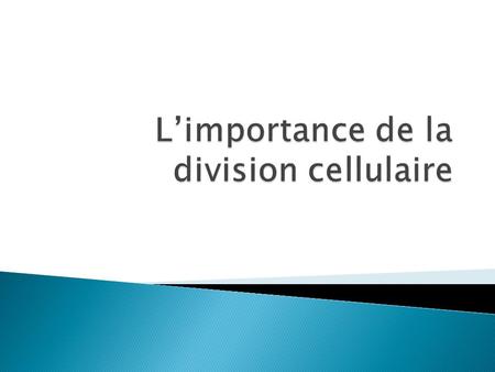 L’importance de la division cellulaire