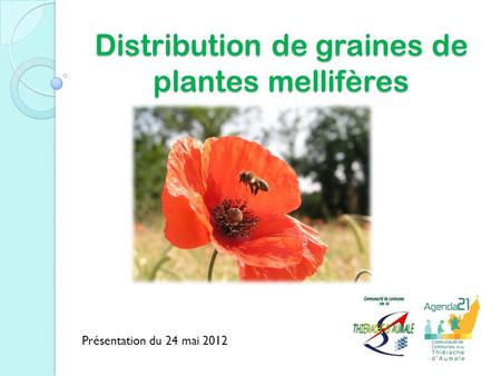 Distribution de graines de plantes mellifères