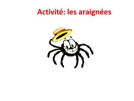 Activité: les araignées