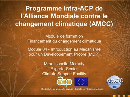 Programme Intra-ACP de