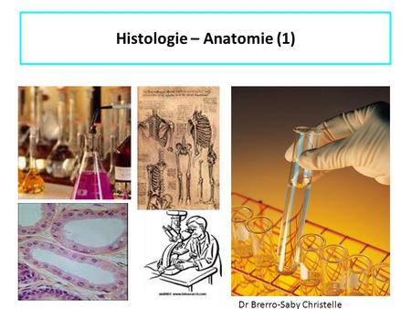 Histologie – Anatomie (1)