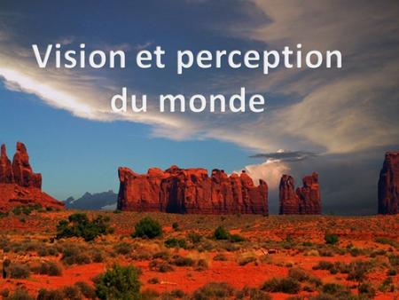 Vision et perception du monde