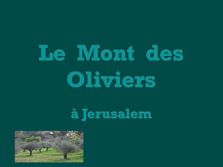 Le Mont des Oliviers à Jerusalem.