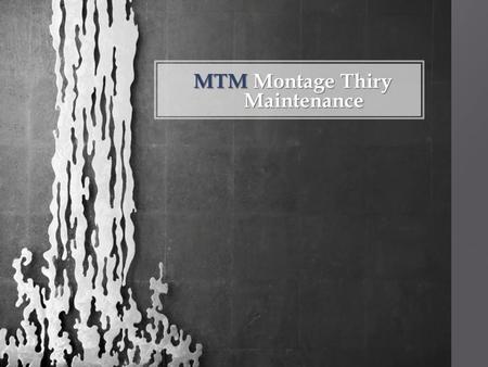 MTM Montage Thiry Maintenance