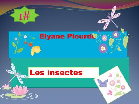1# Elyane Plourde Les insectes.