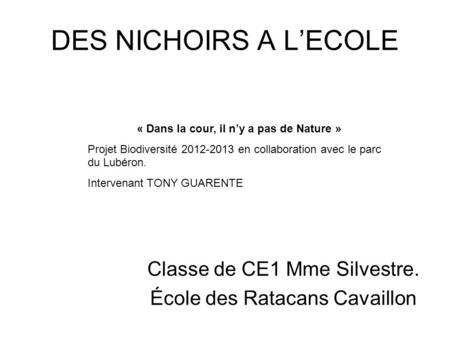 Classe de CE1 Mme Silvestre. École des Ratacans Cavaillon