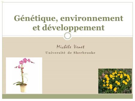 Génétique, environnement et développement