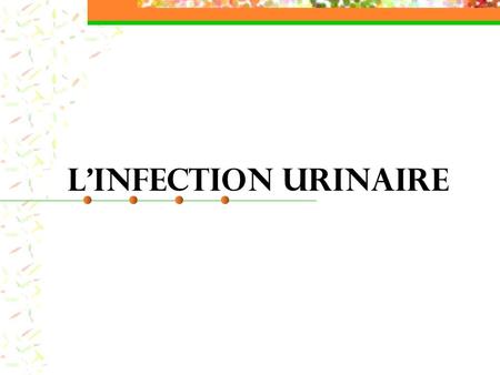 L’INFECTION URINAIRE.