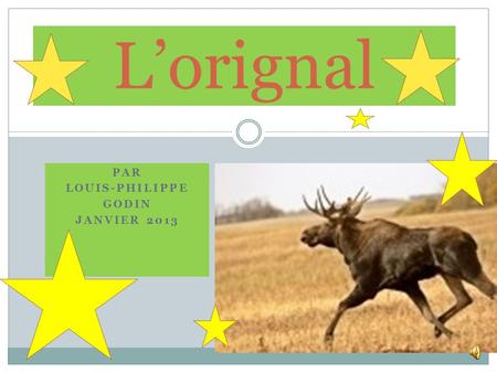 PAR LOUIS-PHILIPPE GODIN JANVIER 2013 Lorignal HABITAT Lorignal vit en Amérique du Nord dans les forêts.