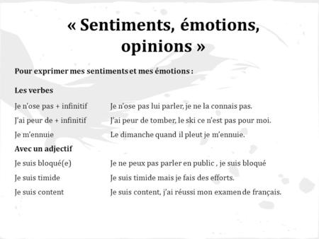 « Sentiments, émotions, opinions »