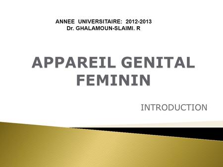 APPAREIL GENITAL FEMININ