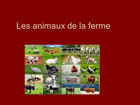 Les animaux de la ferme.