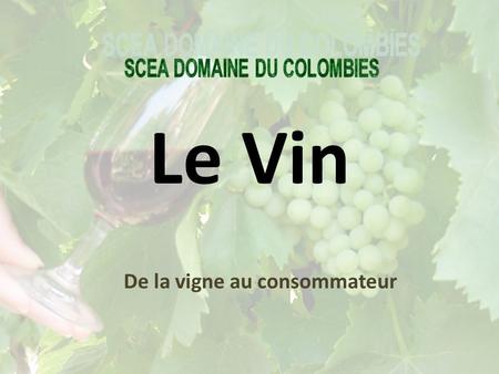 De la vigne au consommateur